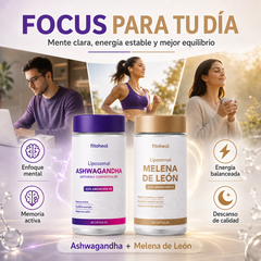 Kit Focus